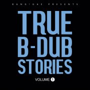 Bang!Gae – True B-Dub Stories ( Volume 1 )