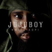 Juju Boy – Nwa Dikopi [Music]