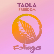 Foliage Records remixes Taola’s ‘Freedom’ ( Original Mix)