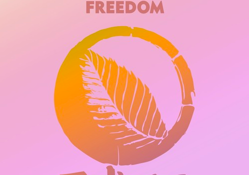 Foliage Records remixes Taola’s ‘Freedom’ ( Original Mix)