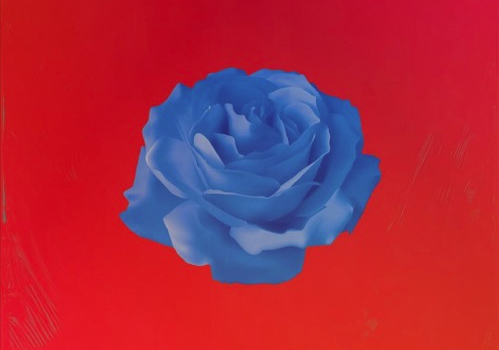 Titose – Flowers By Season