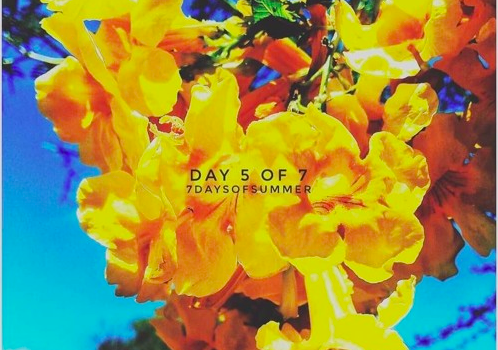 Stream 7daysOfSummer – Day 5 of 7