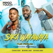 MINGO TOUCH ft MOTLHA #SAKAWAYAWAYA