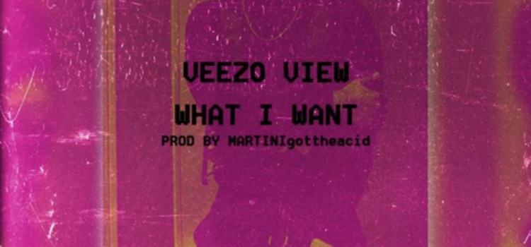 Veezo View – What I Want(Prod by Martinigottheacid)