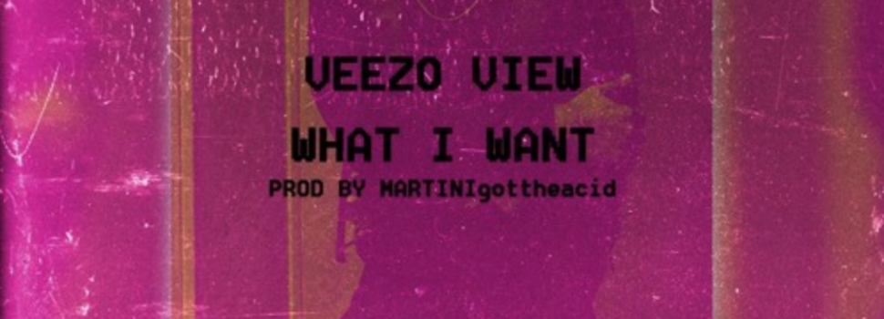 Veezo View – What I Want(Prod by Martinigottheacid)