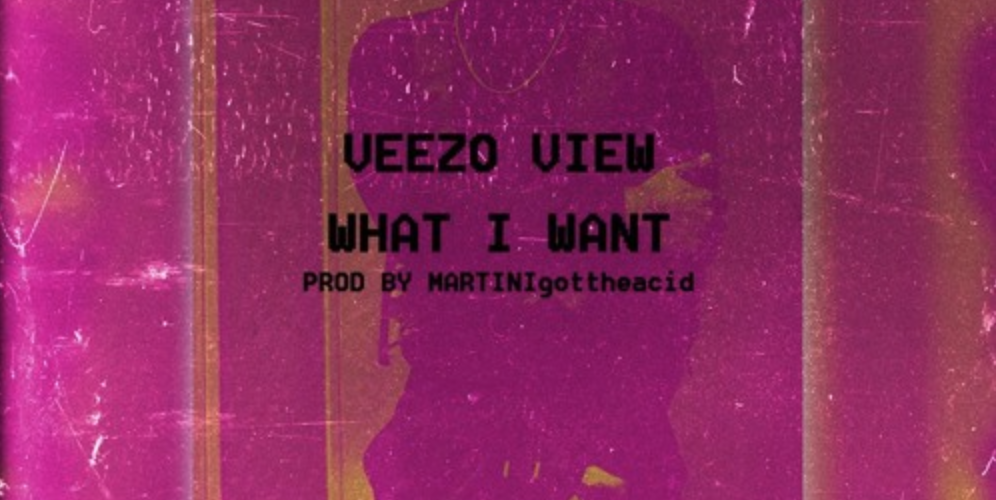 Veezo View – What I Want(Prod by Martinigottheacid)