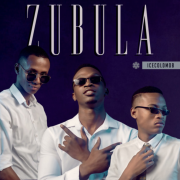 Stream IceColdMob’s ‘Zubula’