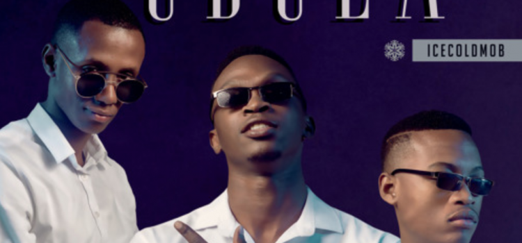 Stream IceColdMob’s ‘Zubula’