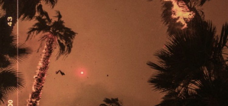 ＷＮＤＲＳＺＮ – All Facts (feat. Keigo & Anything With Yusef
