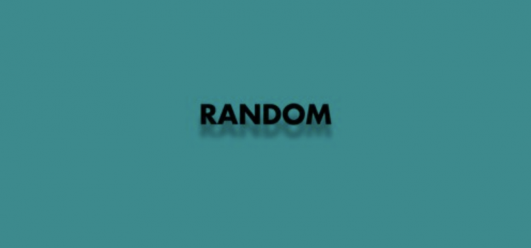 Flex The Ninja & Veezo View – Random