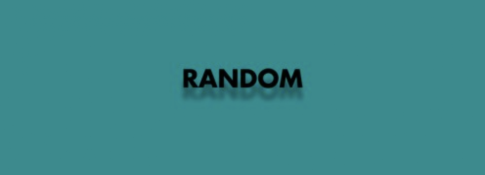Flex The Ninja & Veezo View – Random