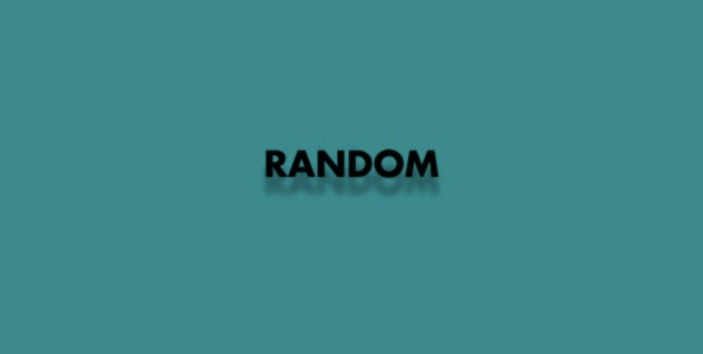 Flex The Ninja & Veezo View – Random