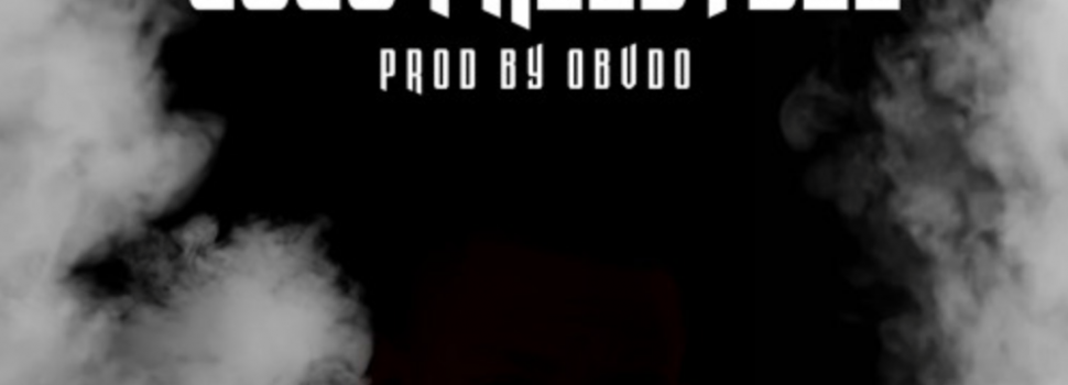 Veezo View 2020 Freestyle Prod. By Obvdo