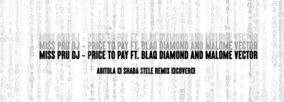 Stream Shaba Stele’s remix to ‘Price to Pay’, a Miss Pru Dj, Blaq Diamond & Malome Vector Cover