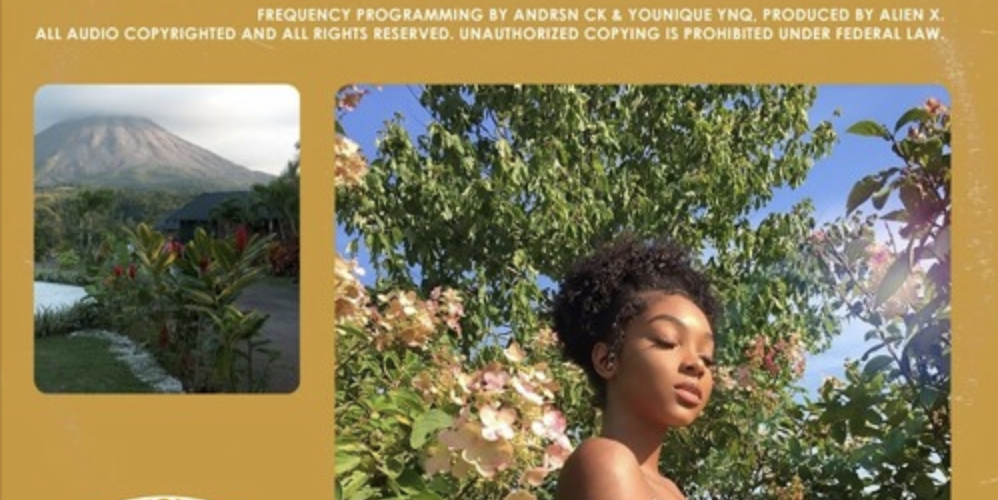 Stream Younique YNQ, Andrsn CK – New Thang