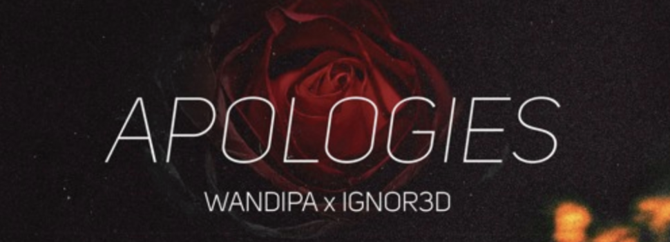 Wandipa feat. IGNOR3D – Apologies