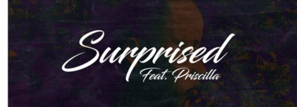 Stream Dj Levels’ Surprised Feat. Priscilla)