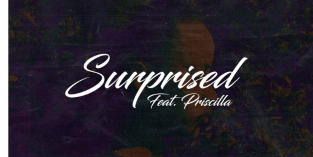 Stream Dj Levels’ Surprised Feat. Priscilla)