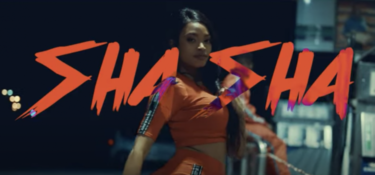 Watch Sasa Klaas’ ‘VAPORS’  (Official Video)