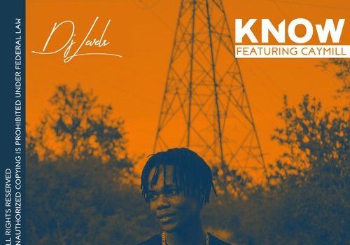 Play Dj Level’s ‘Know’ feat. Caymill