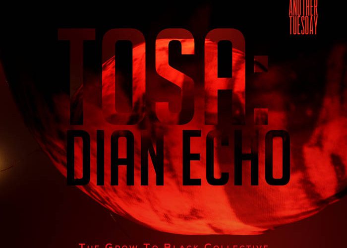 Tosa Dian Echo’s ‘The Grow To Black Collective’