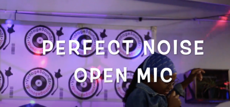 My Perfect Noise Experience – Stevie G DJ’s journey