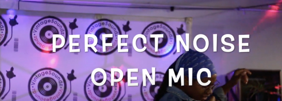 My Perfect Noise Experience – Stevie G DJ’s journey