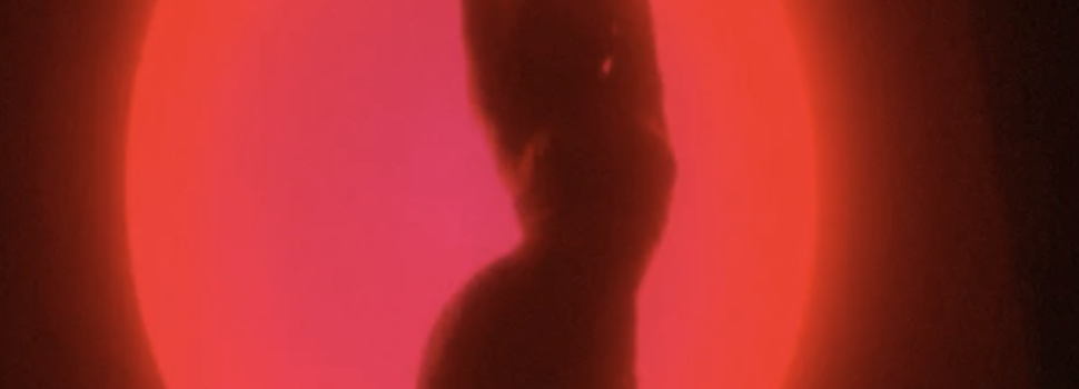 New music from WNDR, ‘Sugar’