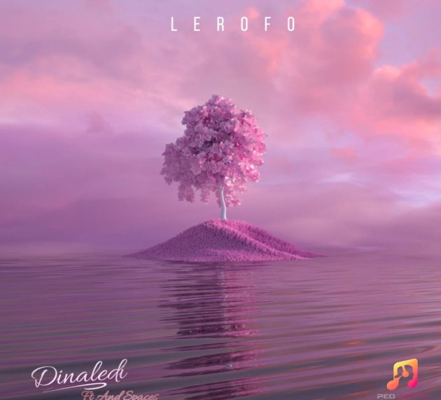 Listen to Lerofo’s “Dinaledi” feat And Spaces – [Prod. And Spaces]