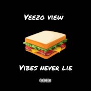 Veezo View’s “Vibes Never Lie”