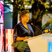 National Arts Council of Botswana finally launches with a view to “Champion Cultural and Creative Sector”